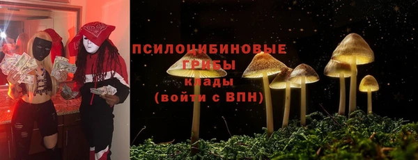 эйфоретик Заволжск