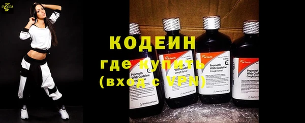 стафф Заводоуковск