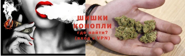 стафф Заводоуковск