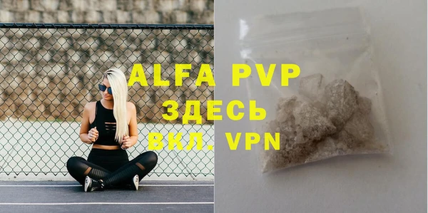 стафф Заводоуковск