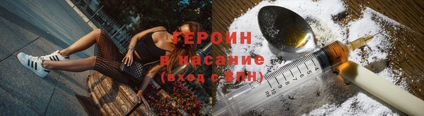 стафф Заводоуковск